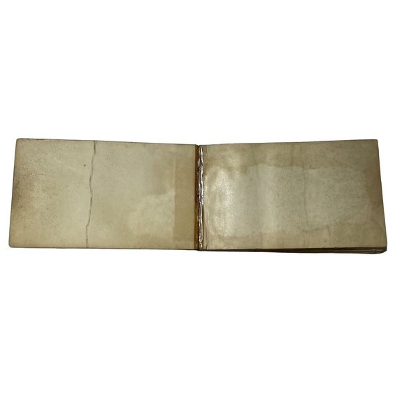 Vintage Antique 1921 Bird Guide Book Water Game and Birds of Prey Chester Reed - Picture 7 of 10